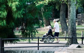 Legge di Bilancio 2026: luci e ombre per il Terzo Settore